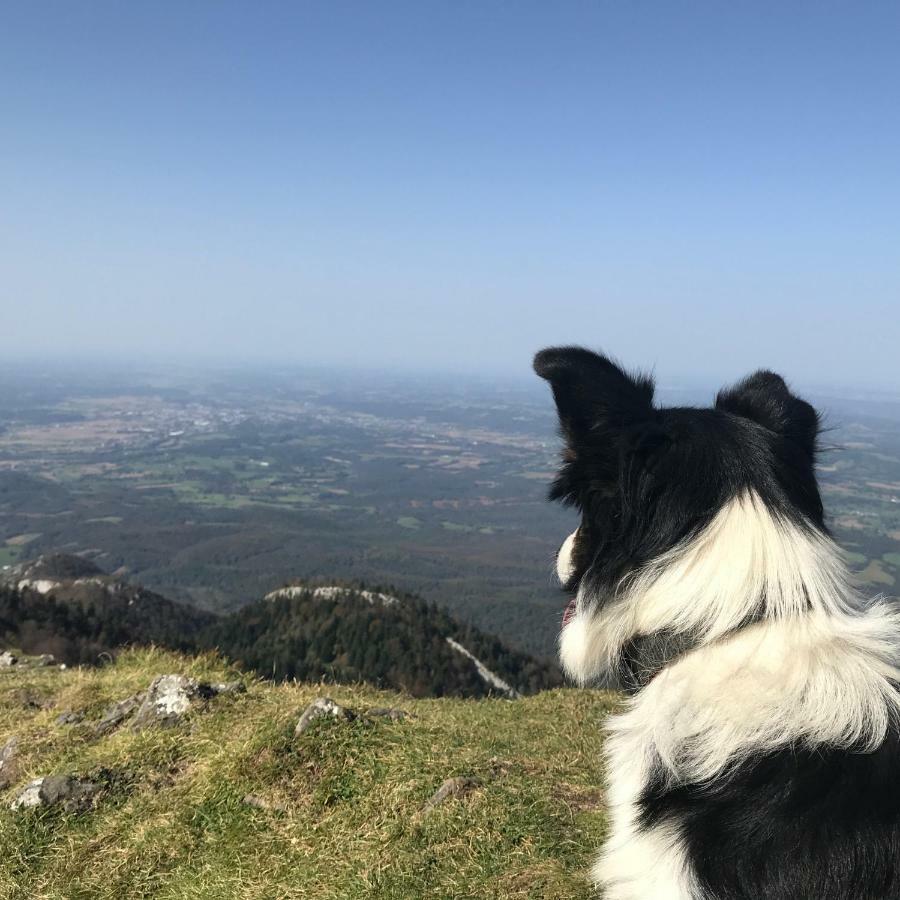 Gite Cap De La Hont Laruns Kültér fotó