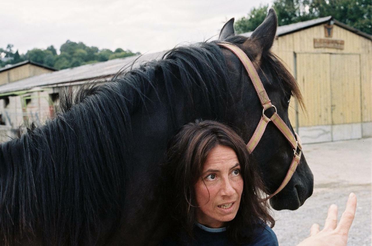 Gite Cap De La Hont Laruns Kültér fotó